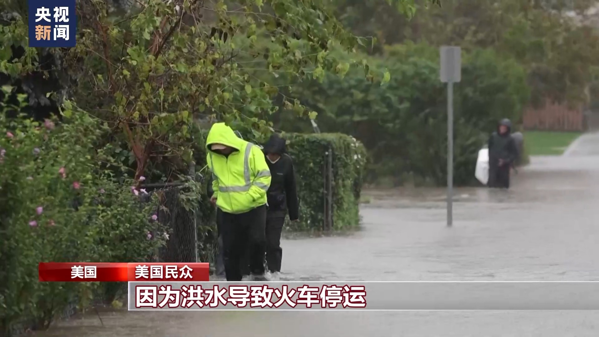 百富论坛白菜